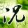 铁齿铜牙纪晓岚